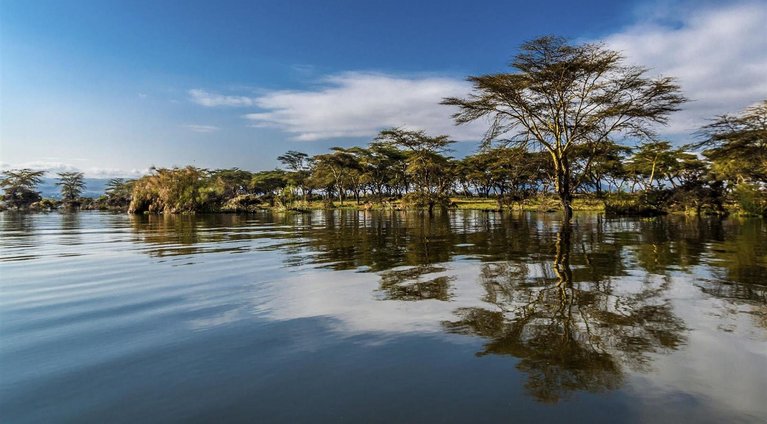Lake Naivasha Kenya Safari Destinations Rhino Africa