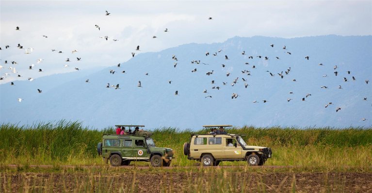 Lake Manyara Safari – Tanzania | Rhino Africa