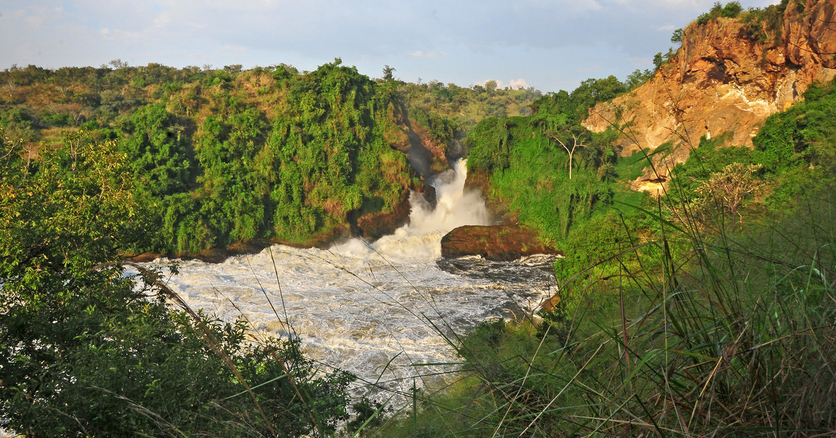 Parc National des Chutes de Murchison - Safari Ouganda | Rhino Africa