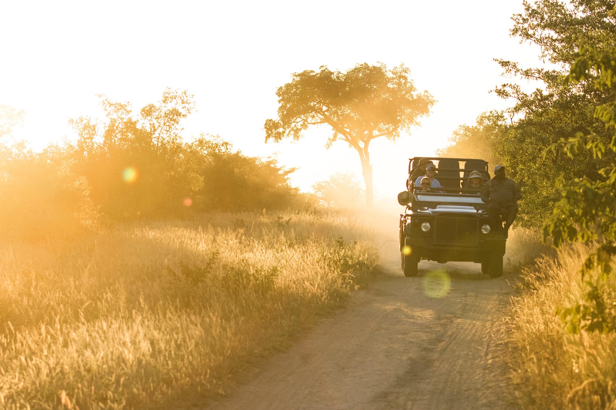 How To Get To Kruger National Park | Rhino Africa