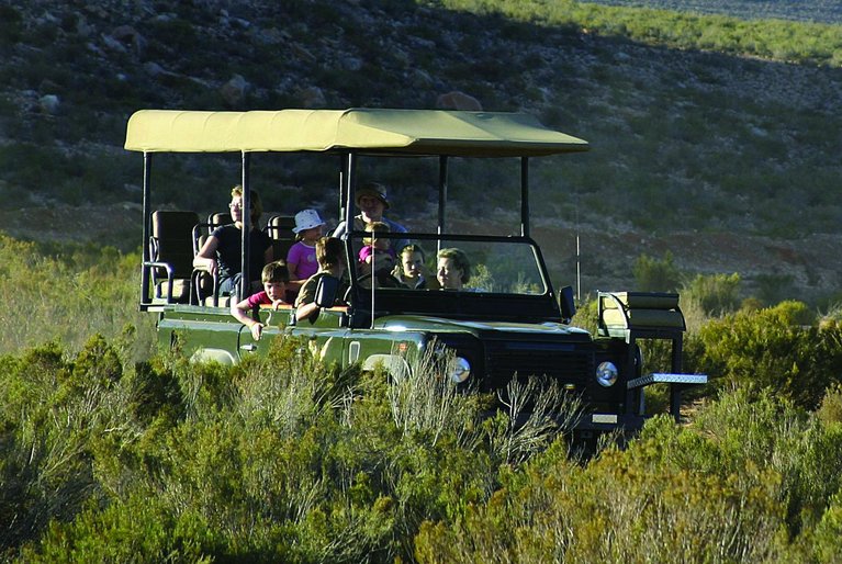 Aquila Private Game Reserve Touws River Rhino Africa