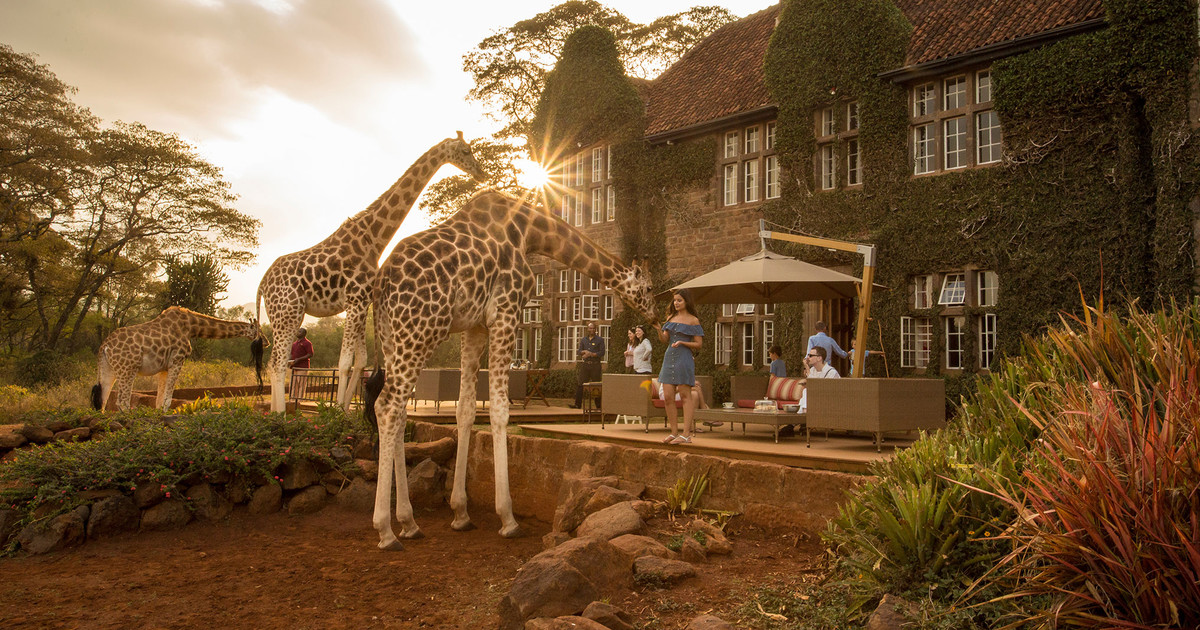 Giraffe Manor Hotel Nairobi Kenia Rhino Africa