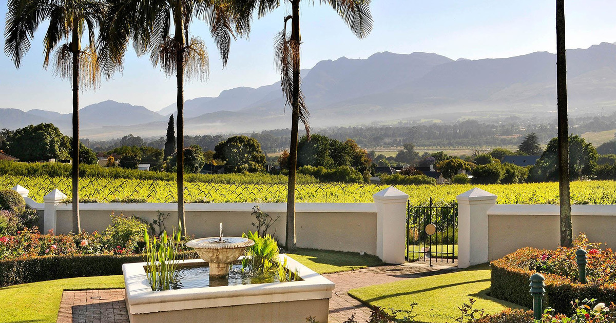 Best Paarl Cape Town Rhino Africa