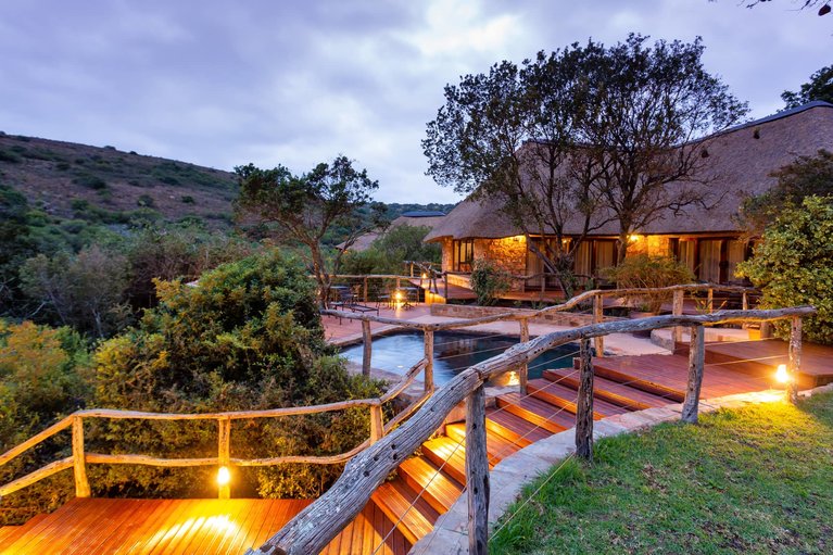 lalibela mark s camp grahamstown rhino africa
